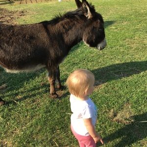 Meet your Posher, Samantha